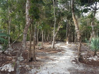 Venta de terreno en Leona Vicario, Puerto Morelos, Quintana Roo; carretera a la Ruta de los Cenotes, km 24.5.
